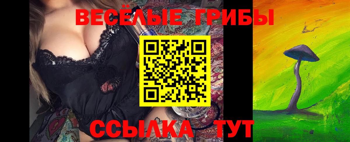 Псилоцибиновые грибы прущие грибы  Вход с VPN  Сокол 